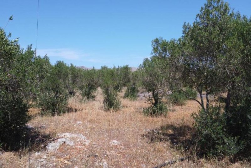 Mouzouras Kreta, Mouzouras: Flaches Grundstück mit Panoramablick zu verkaufen Grundstück kaufen